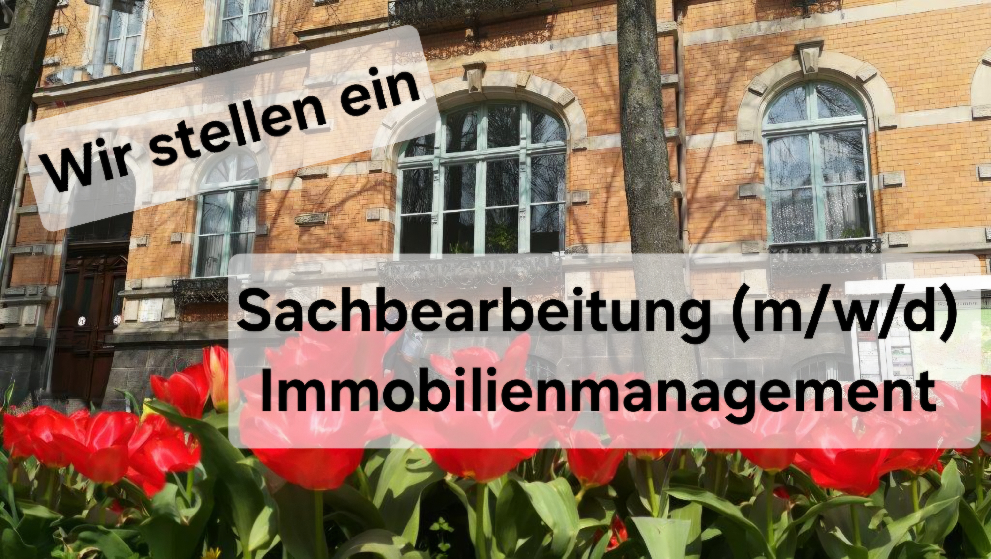 Altbau Rathaus, Tulpen